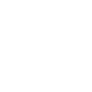 FOX FOX white יהלם יהלם