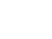 FOX FOX colorful ימין הרצוג ימין הרצוג