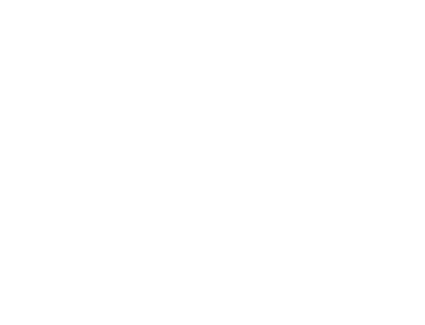 FOX FOX colorful ימין הרצוג ימין הרצוג