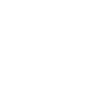 FOX FOX white יסודות יסודות