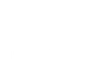 FOX FOX white יסודי בסביוני ים יסודי בסביוני ים