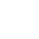 FOX FOX white יסודי מ"מ רמון יסודי מ"מ רמון