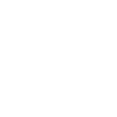 FOX FOX white יסודי ע"ש תמרי יסודי ע"ש תמרי