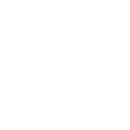 FOX FOX white יערת העמק יערת העמק