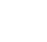 FOX FOX white יצחק נבון כרמית יצחק נבון כרמית