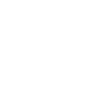 FOX FOX white יצחק שדה יצחק שדה