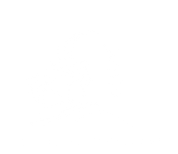 FOX FOX white ישיבת שעלבים ישיבת שעלבים
