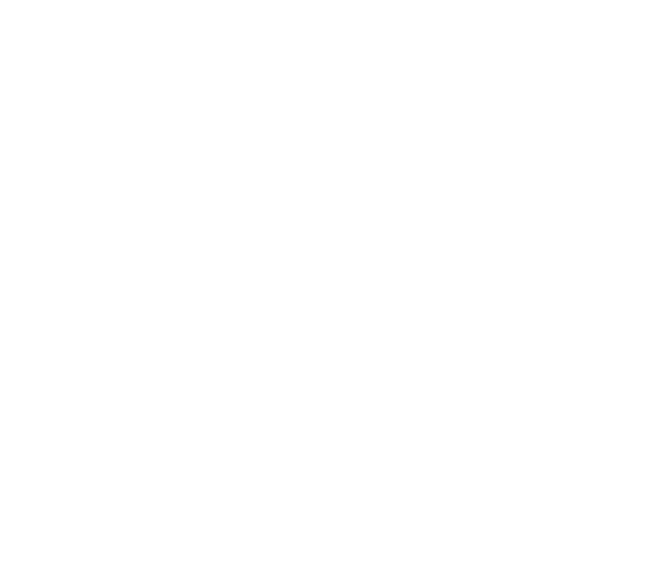 FOX FOX white ישיבת שעלבים ישיבת שעלבים