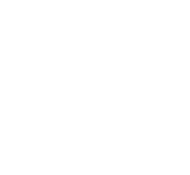 FOX FOX white כדורי יסודי כדורי יסודי