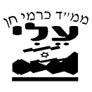 FOX FOX black כרמי חן כרמי חן