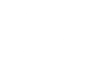 FOX FOX white לב הפרדס לב הפרדס