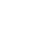 FOX FOX white לביא לביא