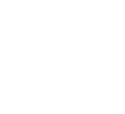 FOX FOX white מגינים מגינים