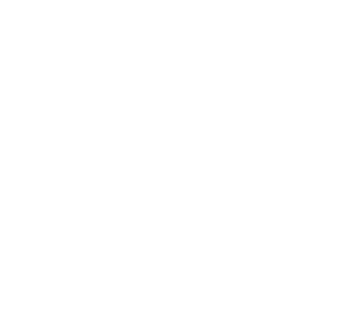 FOX FOX white מגינים מגינים