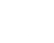 FOX FOX white מגינים מגינים
