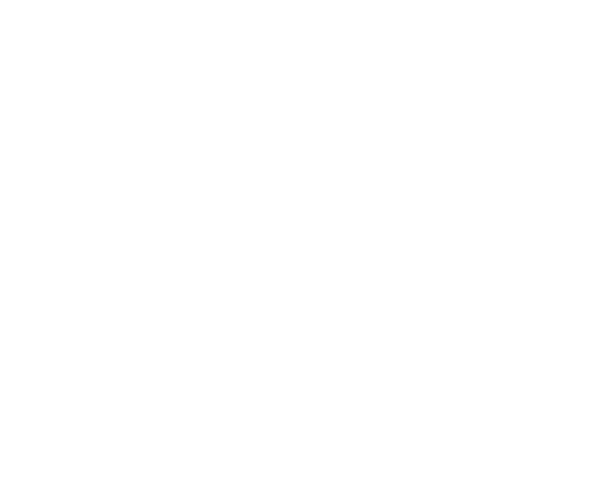 FOX FOX white מגינים מגינים