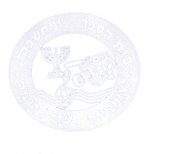 FOX FOX white מחשבה מחשבה