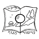 FOX FOX black מישור הנוף מישור הנוף