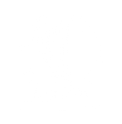 FOX FOX white מיתרים מיתרים