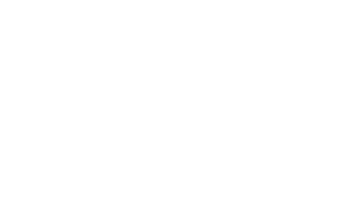 FOX FOX white מיתרים מיתרים