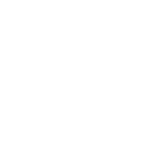 FOX FOX white ממ' פינס ממ' פינס
