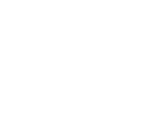 FOX FOX white ממד בירב ממד בירב