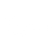 FOX FOX white ממד יובלים ממד יובלים