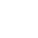 FOX FOX white ממד נעם ממד נעם