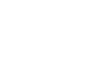 FOX FOX white ממלכתי ממלכתי