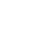 FOX FOX white ממלכתי א ממלכתי א