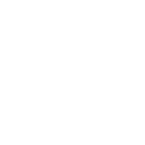 FOX FOX white ממלכתי אזורי ממלכתי אזורי