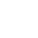 FOX FOX white ממלכתי בן צבי ממלכתי בן צבי