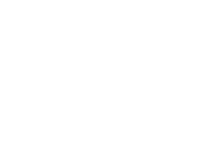 FOX FOX white ממלכתי ג' ממלכתי ג'