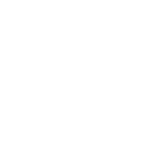 FOX FOX white ממלכתי הדר ממלכתי הדר
