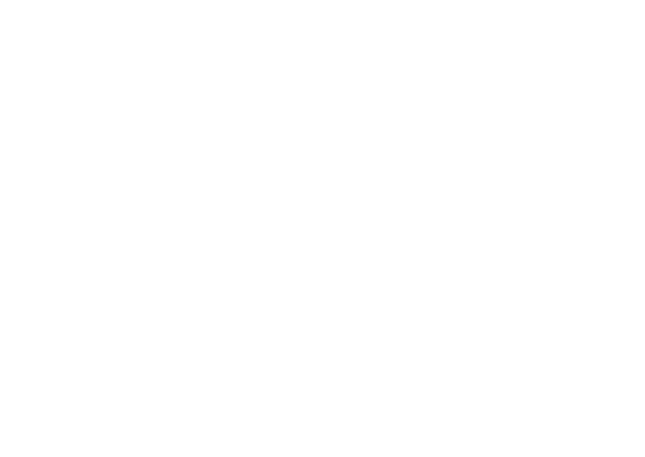 FOX FOX white ממלכתי לפיד ממלכתי לפיד