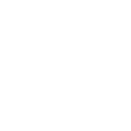FOX FOX white ממלכתי נוה דליה ממלכתי נוה דליה