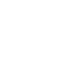 FOX FOX white ממלכתי ניצנים ממלכתי ניצנים