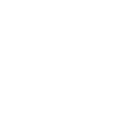 FOX FOX white ממלכתי ע"ש אילן רמון ממלכתי ע"ש אילן רמון