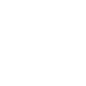 FOX FOX white ממלכתי ע"ש נעמי שמר ממלכתי ע"ש נעמי שמר