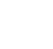 FOX FOX white ממלכתי עמל ממלכתי עמל