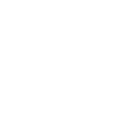 FOX FOX white ממלכתי תפו"ז ממלכתי תפו"ז