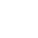 FOX FOX white מנשה אלישר מנשה אלישר