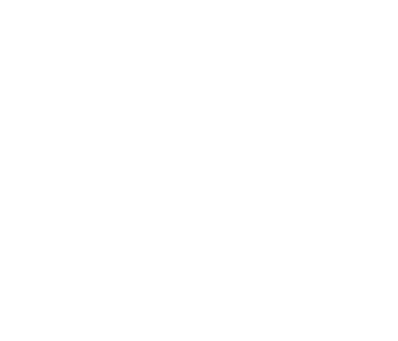 FOX FOX white מעלה התורה בנות מעלה התורה בנות