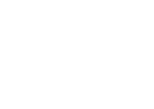 FOX FOX white מקור חיים מקור חיים