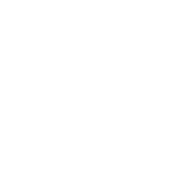 FOX FOX white מקיף דרכא מקיף דרכא