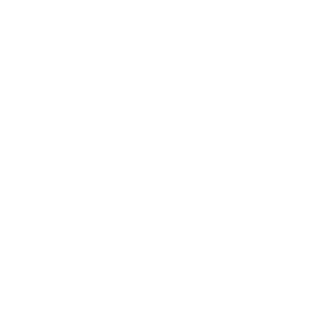 FOX FOX white מקיף דתי עירוני ב' מקיף דתי עירוני ב'