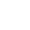FOX FOX white מקיף סליגסברג מקיף סליגסברג