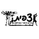 FOX FOX black מקיף צפית מקיף צפית