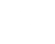 FOX FOX white מקף שזר יסודי מקף שזר יסודי
