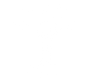 FOX FOX white משואה משואה